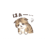 842655949