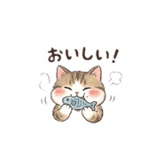 842655952