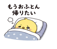 842656432