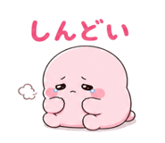 842656642