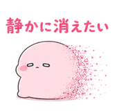 842656648