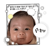 842656837