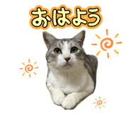 842657089