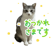 842657091