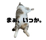 842657098