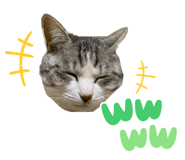 842657101