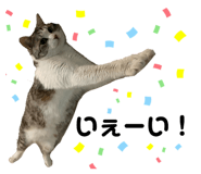 842657102