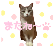 842657109