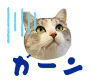 842657110