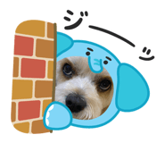 842657598