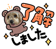 842657606