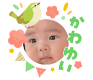 842657648