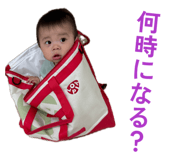 842658075