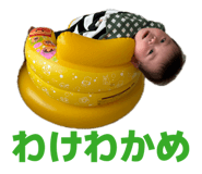 842658094