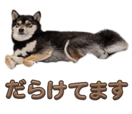 842658873