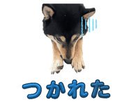 842658875