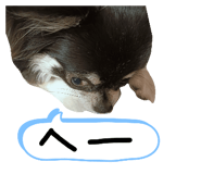 842659112