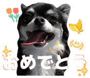 842659113