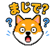 842659787
