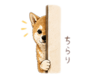842660070