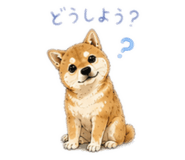 842660075