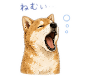 842660081
