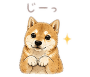 842660084