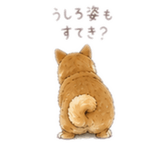 842660090