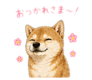 842660092