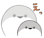 842660146