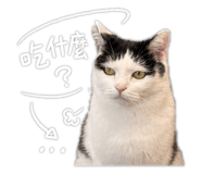842660405