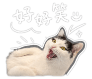 842660408