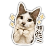 842660635