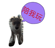 842661040