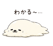 842661925
