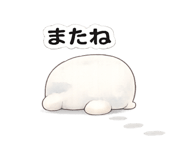 842662071