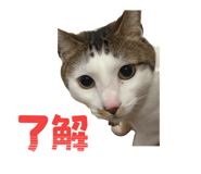 842662342