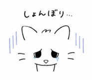 842662475