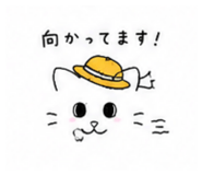 842662493