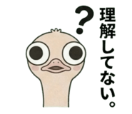 842662802