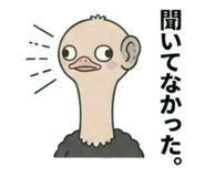 842662806