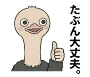 842662807
