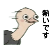 842662810
