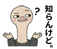 842662816