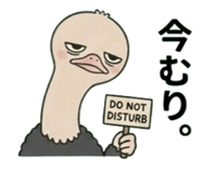 842662824