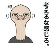842662825