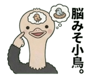 842662828