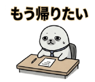 842663262