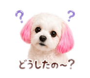 842663944