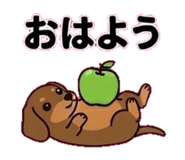 842664249